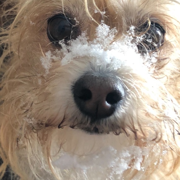 Meet your Posher, Teresa - Picture 1 of 12